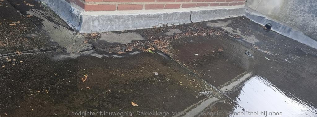 Daklekkage spoed Nieuwegein: Handel snel bij nood