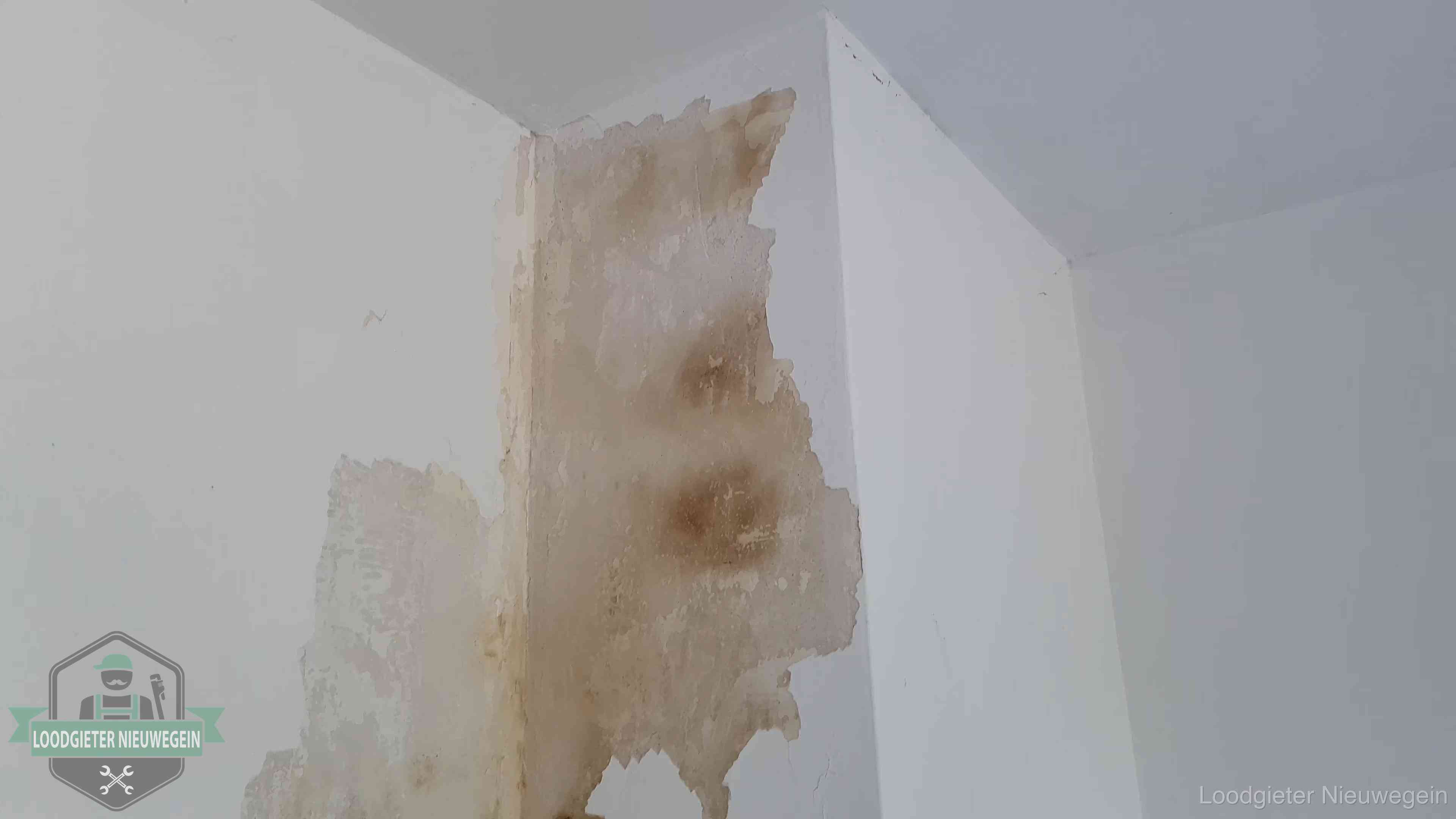 Daklekkage herkennen in Nieuwegein Bruine vochtkringen en afbladderend stucwerk op een binnenmuur in Nieuwegein, een eerste teken van daklekkage
