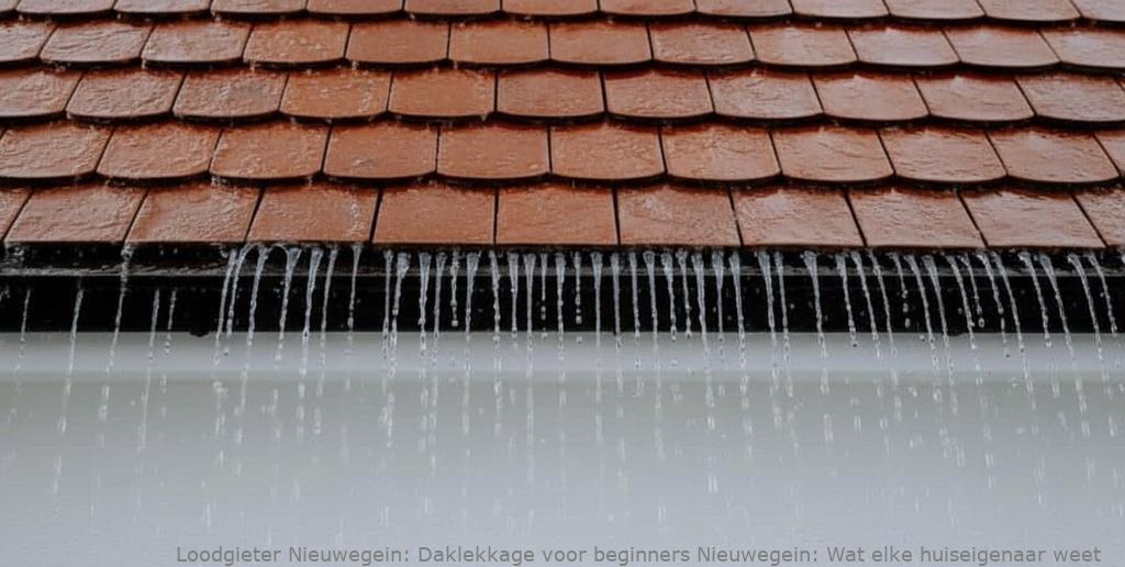Daklekkage voor beginners Nieuwegein: Wat elke huiseigenaar weet