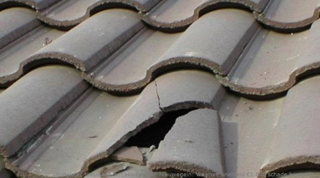 Lekkage dak Nieuwegein: Waarom snelheid €1.800 schade bespaart