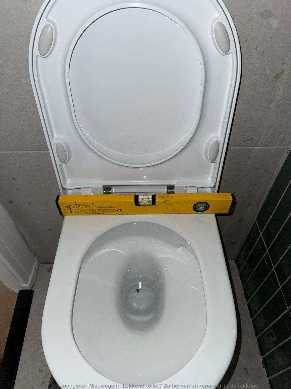 Lekkend toilet? Zo herken en repareer je de lekkage