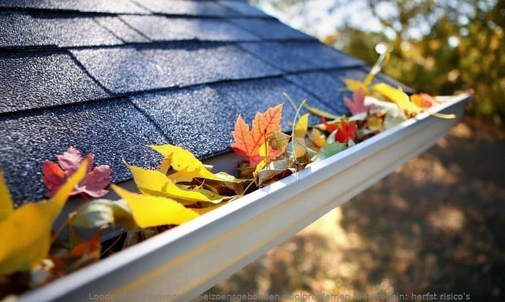 Seizoensgebonden rioolproblemen Nieuwegein: herfst risico’s