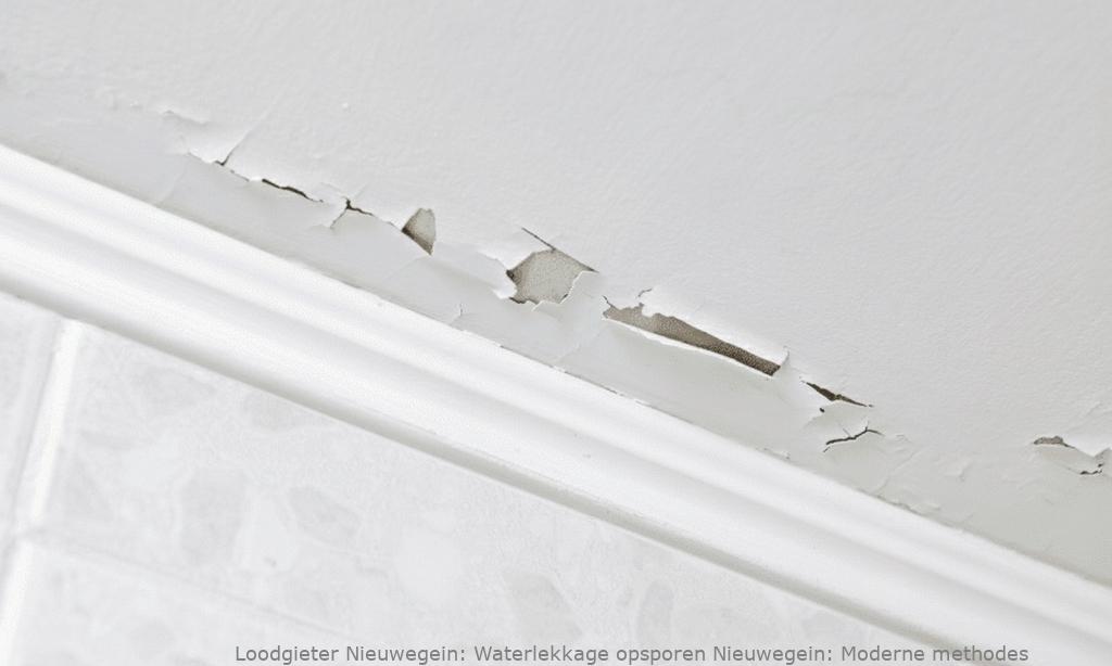 Waterlekkage opsporen Nieuwegein: Moderne methodes